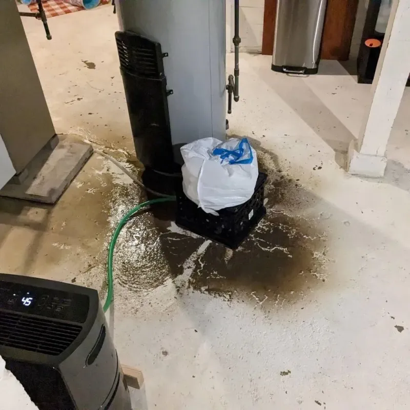 Sewage Backup Cleanup Service in Quitman, GA